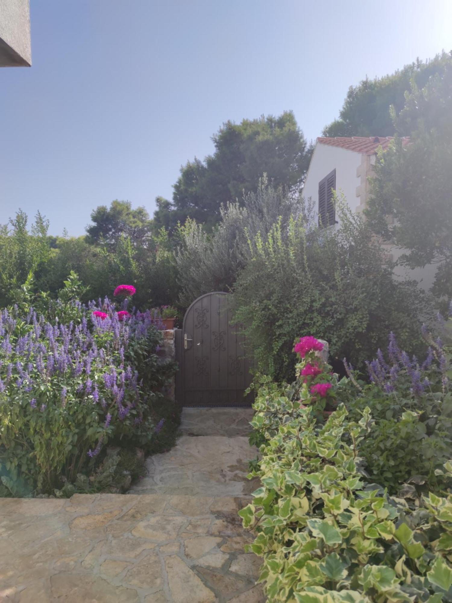Vacation House Milka Milna  Exterior foto